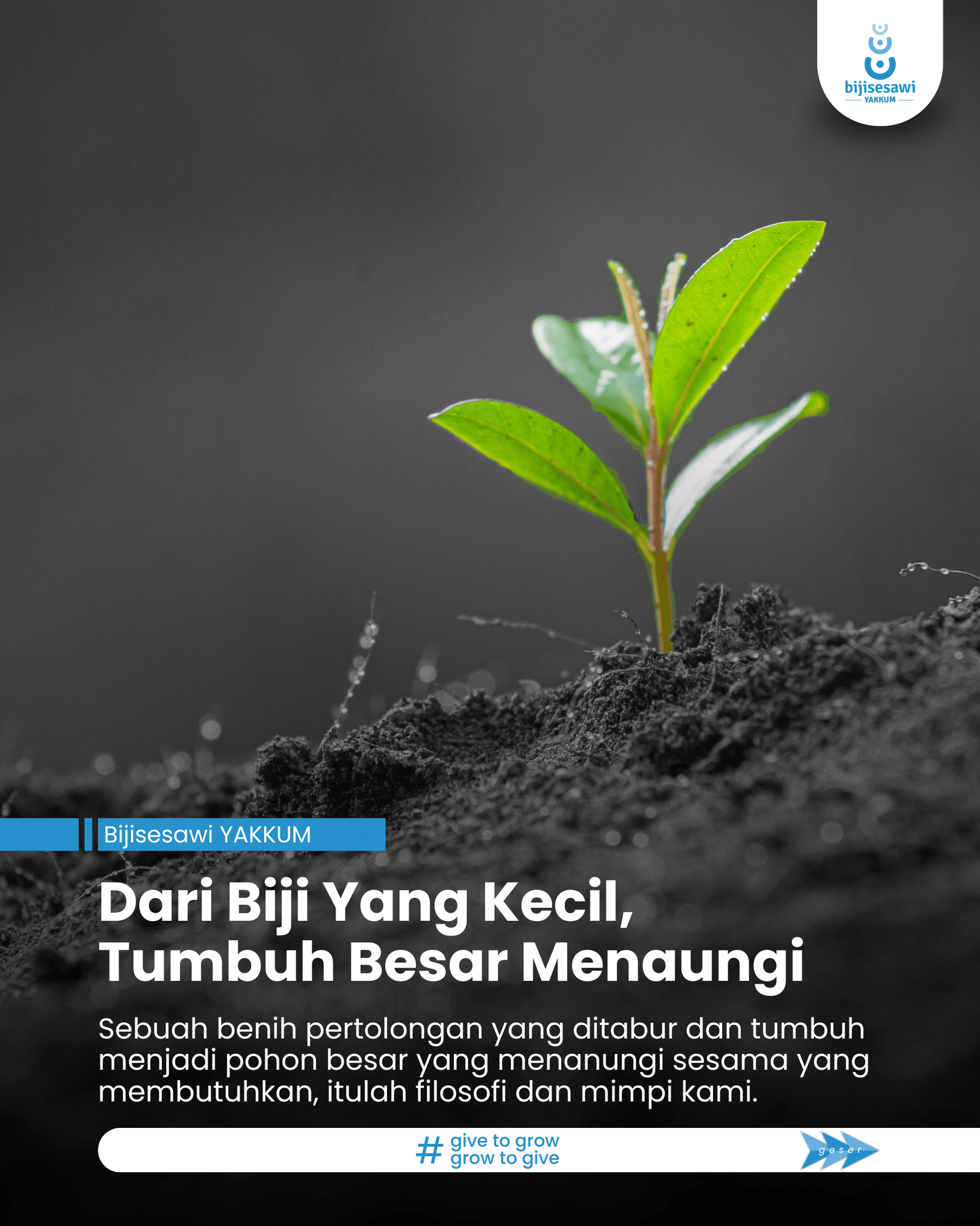 Dari Biji Yang Kecil, Tumbuh Besar Menaungi